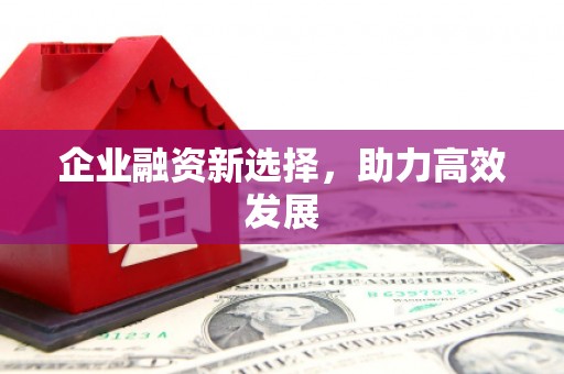 禅城企业融资新选择，助力高效发展