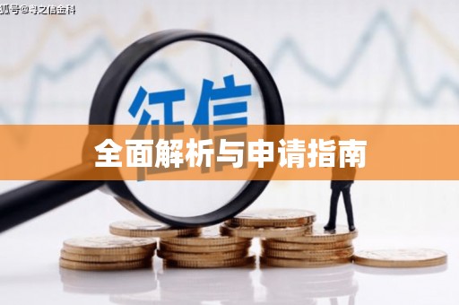 禅城全面解析与申请指南