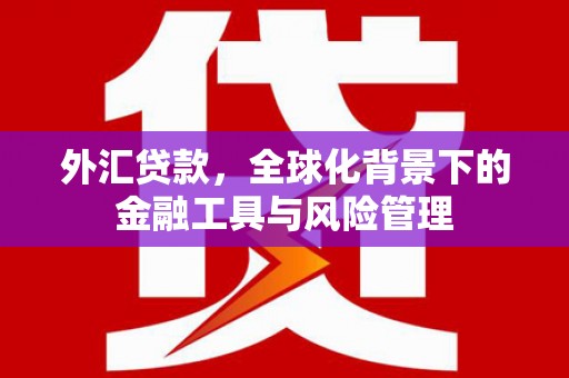 禅城外汇贷款，全球化背景下的金融工具与风险管理
