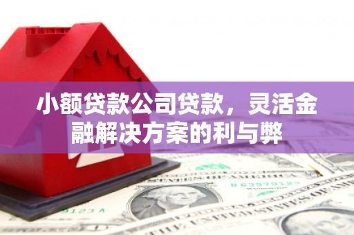 禅城小额贷款公司贷款，灵活金融解决方案的利与弊