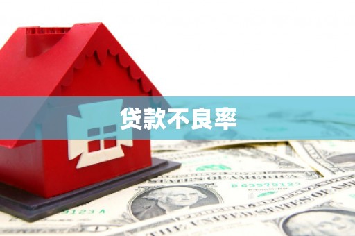 禅城贷款不良率