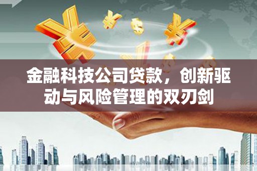 禅城金融科技公司贷款，创新驱动与风险管理的双刃剑